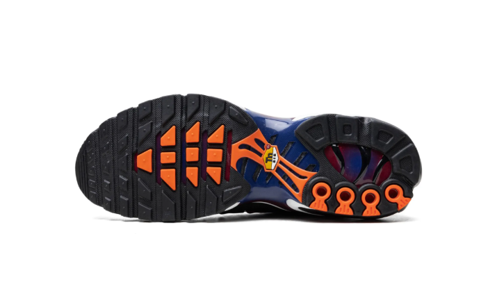 Nike Air Max Plus TN FC Barcelona